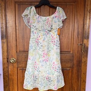 Gymboree Floral Dress with Ruffle Sleeves